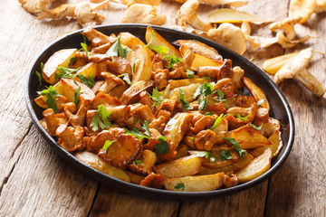 Vegetarian dish fried potatoes with garlic, parsley and chanterelle mushrooms closeup on a plate. horizontal