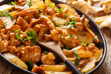 Delicious fried potatoes with chanterelles close-up on a plate. horizontal