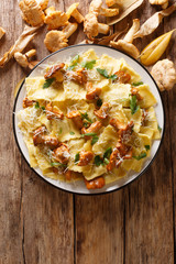 Freshly cooked ravioli with fried chanterelles and parmesan cheese close-up on a plate. Vertical top view