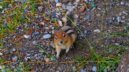 Hi there stranger!