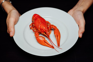 boiled crayfish on a black background