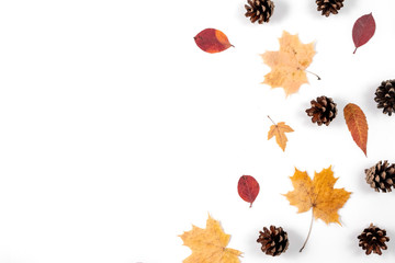 Autumn minimal composition. Dried leaves, cones on white background. Autumn, fall, halloween, thanksgiving day concept. Flat lay, top view, copy space