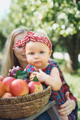 Girl with Apple in the Apple Orchard. Beautiful Girl Eating Organic Apple in the Orchard. Harvest Concept. Garden, Toddler eating fruits at fall harvest.