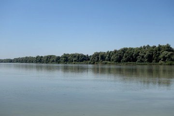 ANTIESENDELTA . INNBLICK