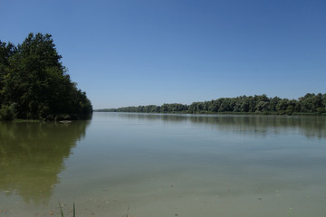 ANTIESENDELTA . INNBLICK