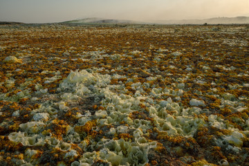 Sunset at Dalol in the Danakil Dessert, Ethiopia. One of the hottest places on the planet