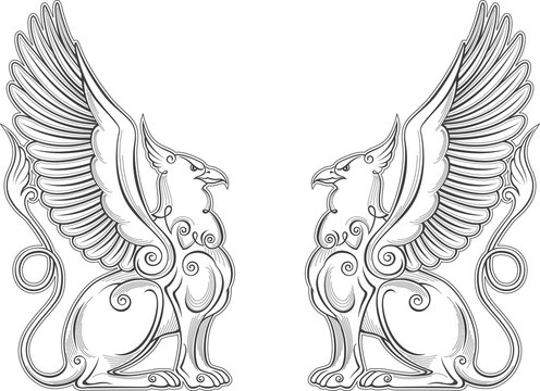 Gryphon mythical creature power and strength symbol vector eagle head lion body bird wings heraldic emblem.