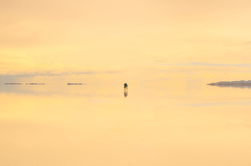 Salar de Uyuni, the world's largest salt flat area, Altiplano, Bolivia, South America.