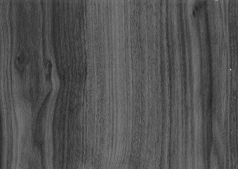 Naklejka premium Old Wood texture,Bark texture for the background or text, Black and white style. Wood surface background in shades of grey