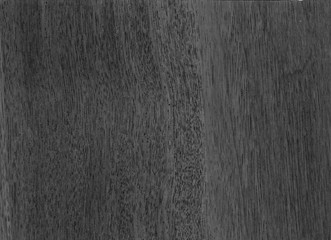 Old Wood texture,Bark texture for the background or text, Black and white style. Wood surface background in shades of grey