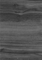 Old Wood texture,Bark texture for the background or text, Black and white style. Wood surface background in shades of grey