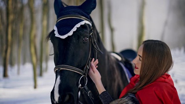 Real time video of charming smiling princess from fairytale hugging, petting and holding black stallion by bridle and putting on red hood afterwards