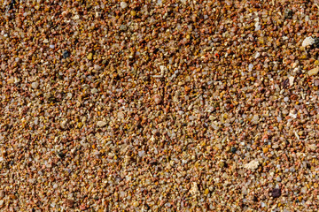 Fototapeta premium Texture of the wet sand for background