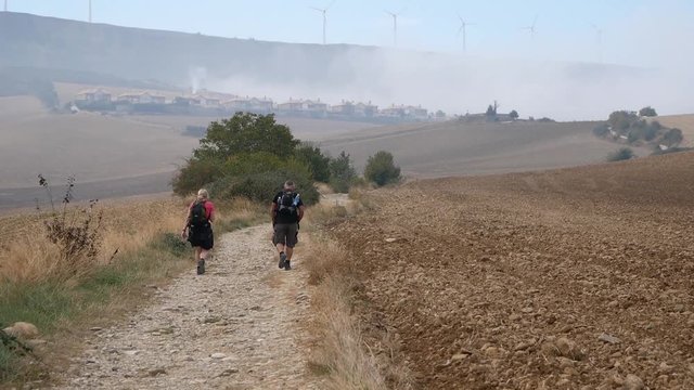 a couple walking in a field with windmills