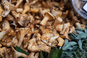 Fresh healthy mushroom vegetables