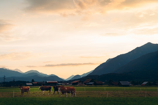 Sunset over the mountains