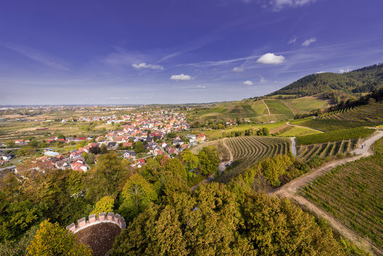 View from the castle Ortenberg on the small town Ortenberg, vineyards and Black Forest_Ortenberg, Baden Wuerttemberg, Germany