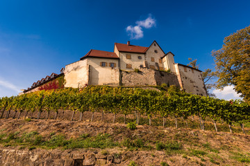 View of the castle Staufenberg with grapevines near.the village Durbach_Ortenau, Baden Wuerttemberg, Germany