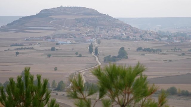 the tops of the pines sway in the wind against the background of the town under the hill