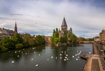 Obraz premium Swans on Moselle River, Metz, France.