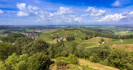 Fototapeta na wymiar View from Staufenberg Castle to the Rhine Valley with grapevines near the village of Durbach in the Ortenau region_Baden, Baden Wuerttemberg, Germany