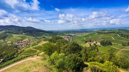 View from Staufenberg Castle to the Rhine Valley with grapevines near the village of Durbach in the Ortenau region_Baden, Baden Wuerttemberg, Germany