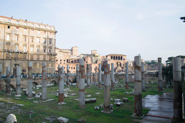 View of the roman ruins in a sunny day in Rome, Italy.