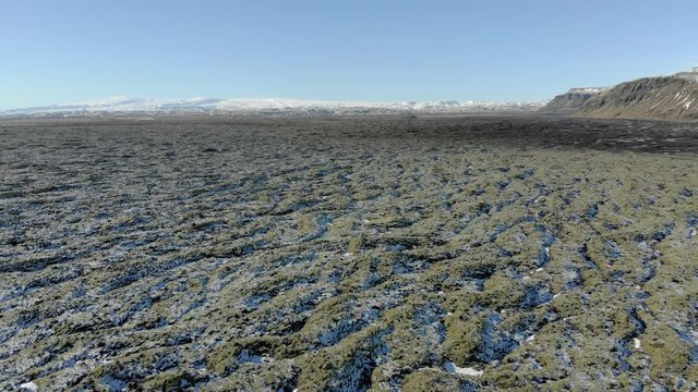 Icelandic moss on volcanic rocks.Iceland lava field covered with green moss
