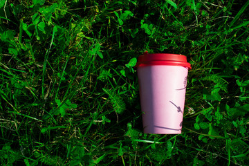 Coffee in nature