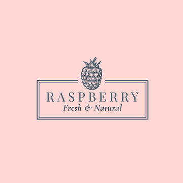 Raspberry Abstract Vector Sign, Symbol or Logo Template. Hand Drawn Berries Sillhouette Sketch with Elegant Retro Typography and Frame. Vintage Luxury Emblem.