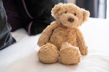 Cute teddy bear portrait,  sitting on white