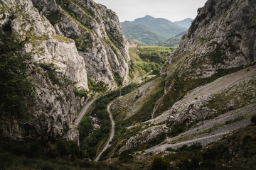 Landscape view of a valley in Asturias, Spain during summer. 