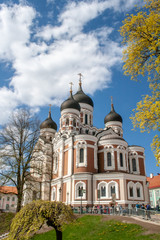 Fototapeta na wymiar The Alexander Nevsky Cathedral, beautiful orthodox cathedral in the Tallinn Old Town, Estonia, vertical