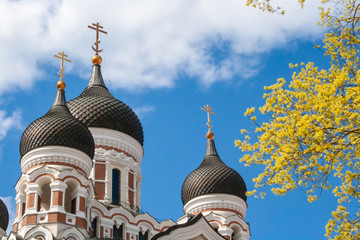 Fototapeta na wymiar The Alexander Nevsky Cathedral, beautiful orthodox cathedral in the Tallinn Old Town, Estonia