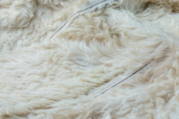 Old white sheep fur lining closeup background with selective focus