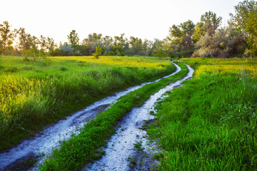 ground road through the green fields at the sunset