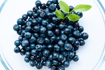  close-up of blueberries with leaves in a plate on a white background
