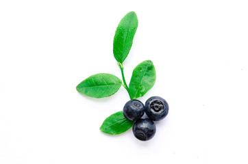 blueberries close-up with leaves isolate on white background