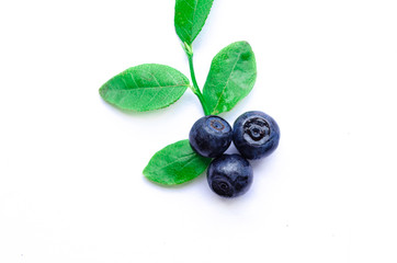 blueberries close-up with leaves isolate on white background