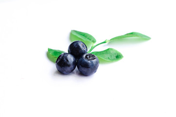 blueberries close-up with leaves isolate on white background