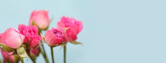 Naklejka na ściany i meble Pink Rose bouquet. Vintage retro style.