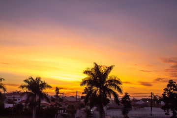 Obraz premium sunset on the beach