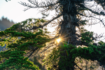 Dramatic sunset view of mountains in the Alpine Lakes Wilderness. Central Cascade Mountain Range, Washington State, July 2019
