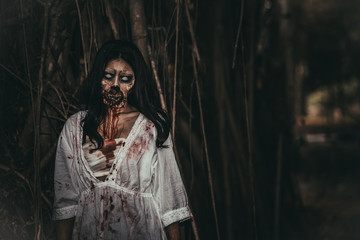 Portrait of asian woman make up ghost face with blood,Horror scene,Scary background,Halloween...