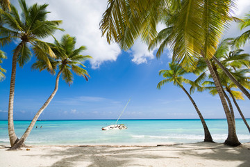 Fototapeta na wymiar Tropical beach in Caribbean sea, Saona island, Dominican Republic