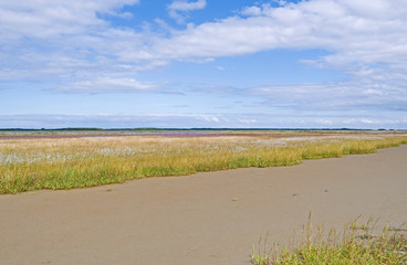 Laesoe / Denmark: Dry fallen tidal creek at the edge of a salt marsh on Kringelroen in the south of...