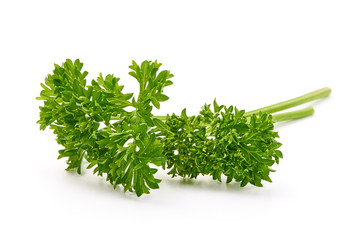 Fresh parsley isolated on white background