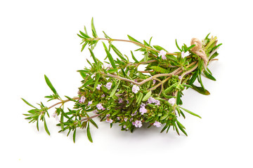 Fresh thyme sprigs, spice, close-up, isolated on white background