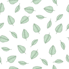 Seamless pattern with hand drawn green tropical leaves vector illustration