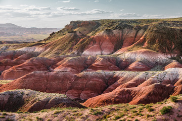 Petrified Forest National Park Landscape